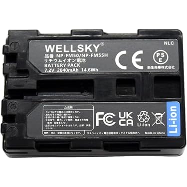 Amazon.co.jp 売れ筋ランキング: ビデオカメラ用バッテリーパック の中